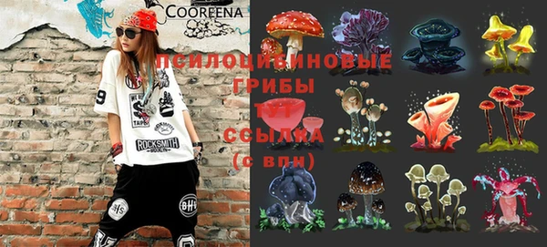 хмурый Алзамай