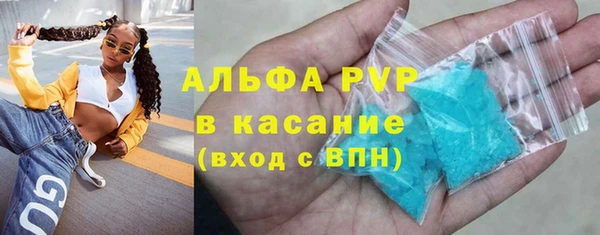 хмурый Алзамай
