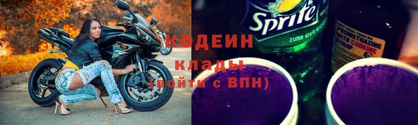 хмурый Алзамай