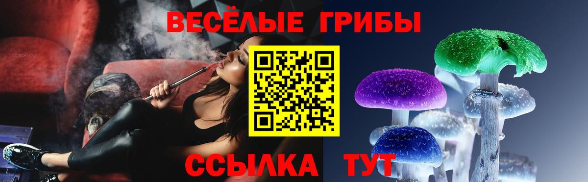 Чистополь  Галлюциногенные грибы GOLDEN TEACHER  Вход с VPN 